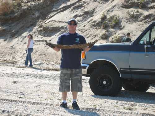 Man holding driftwood, Long Island Off Road