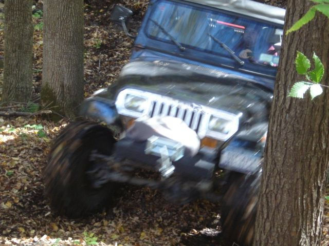 Jeep traversing wooded trail