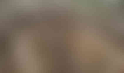 Muddy off-road trails in the woods