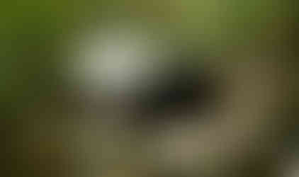 White Jeep Cherokee off-roading on rocks