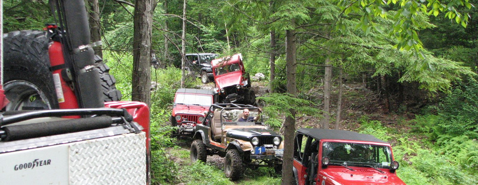Jeeps on a wooded trail