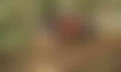 Red Jeep stuck in mud, Long Island Off Road