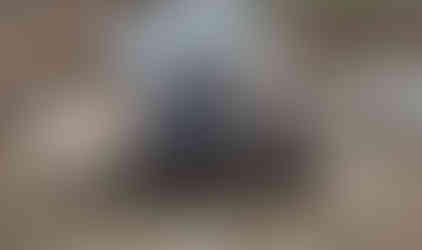 Jeep #1 conquers rocky terrain