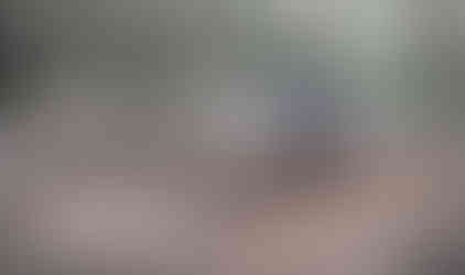 Blue Jeep in wooded area