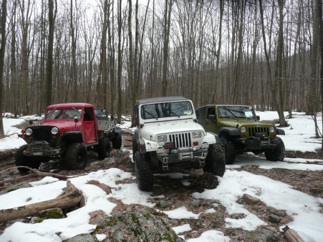 Three Jeeps parked in snowy woods