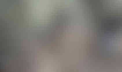 Off-roaders navigate wooded trail