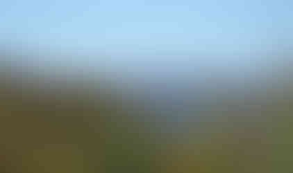 Scenic autumn landscape view with lake