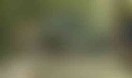 Jeepers enjoying an off-road adventure on Long Island