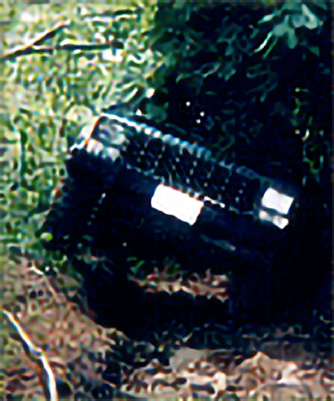 Black vehicle in woods