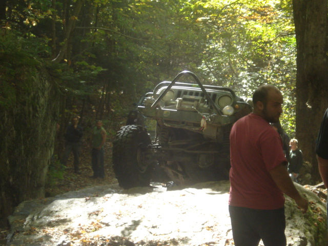 Off-road Jeep in wooded area