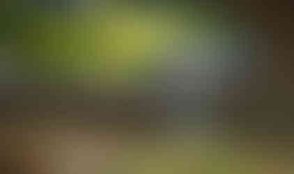 Green Jeep Rubicon in mud