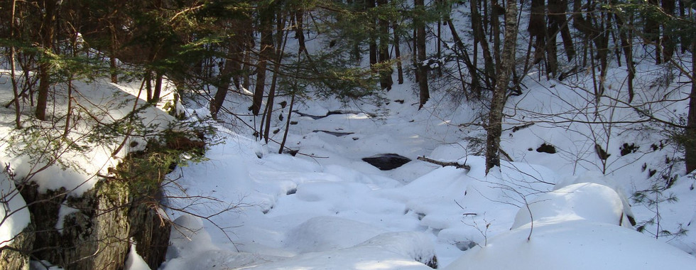 Snowy stream in a winter forest