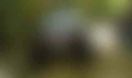 Black Jeep Cherokee navigating rocky trail