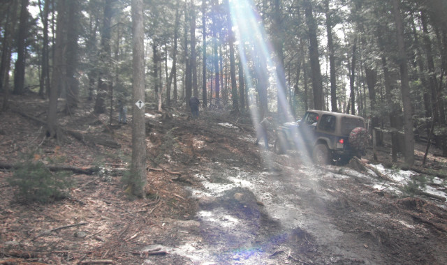 Jeep traversing wooded trail, sunlight streaming through trees