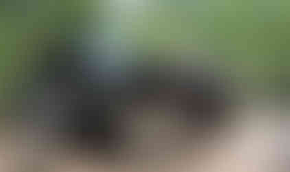 Black Jeep navigating rocky terrain