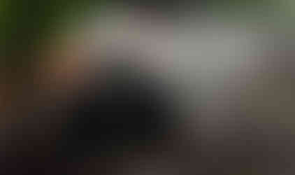 Man maneuvering orange off-road vehicle over rocks