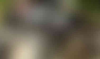 Man driving Jeep over rocks