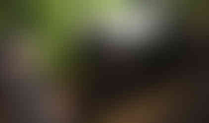 White Jeep stuck; man watches recovery attempt