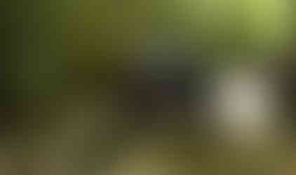 Jeep navigating rocky off-road trail