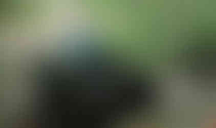 Jeep traversing rocky trail