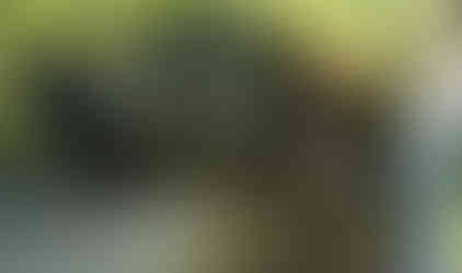 Red Jeep traversing Long Island Off Road trail