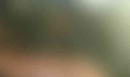 Jeeps crossing old metal bridge