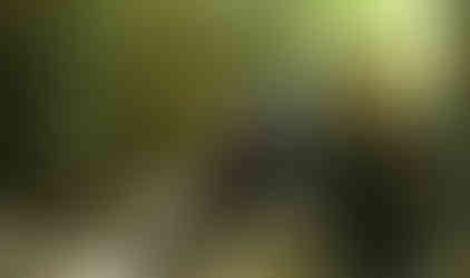 Woman walking near a red Jeep on a wooded trail