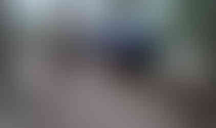 Jeep navigating wooded trail