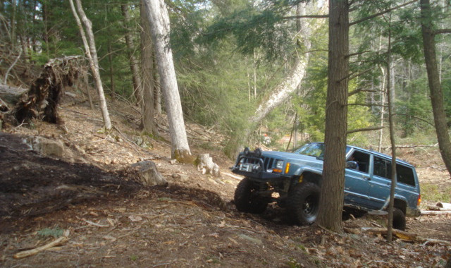 Jeep traversing wooded trail