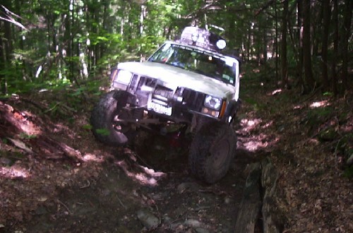 Jeep traversing a wooded trail