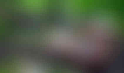 Off-road vehicle stuck, spectators watching