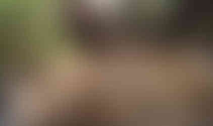 Off-road vehicle navigating muddy trail