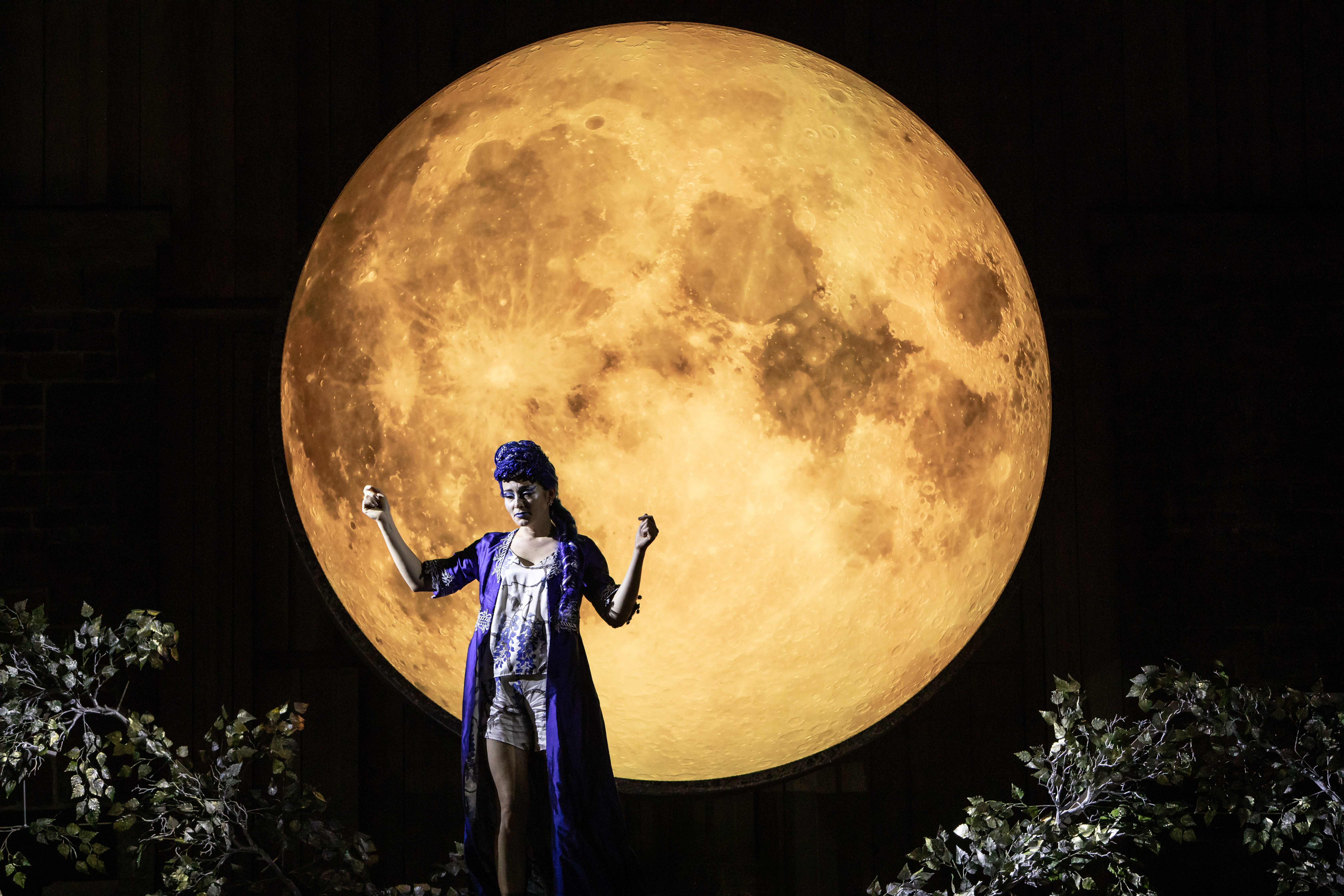 Midsummer Night's Dream