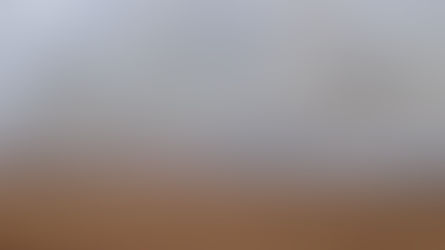 Krakow conversations on food security - conversation with with Anatolyi Tkachuk