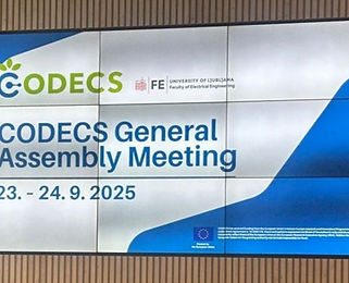 Doroczne spotkanie konsorcjum projektu CODECS 