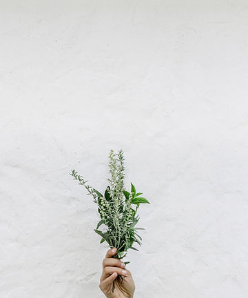 Herbs_edited.jpg
