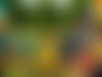 Kids participating in a sporting event with parents cheering them on!