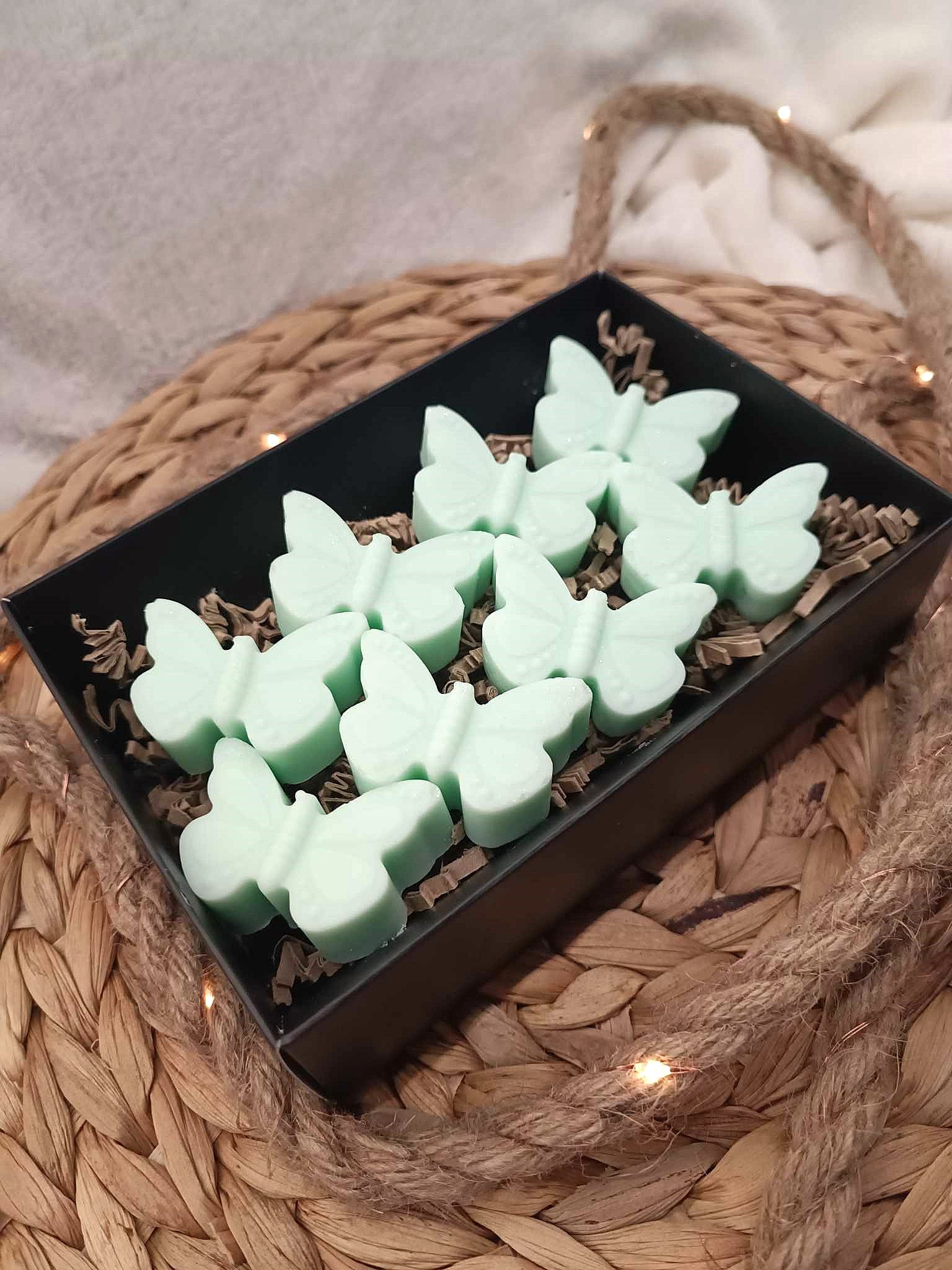 Coffret Adios Mouskitos !