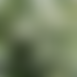 Personal Growth Written By Shelby