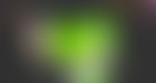 Duolingo - Unlimited XP Points