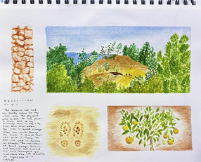 16A867AD-53E2-4F60-B793-A17DF69101CC.jpg