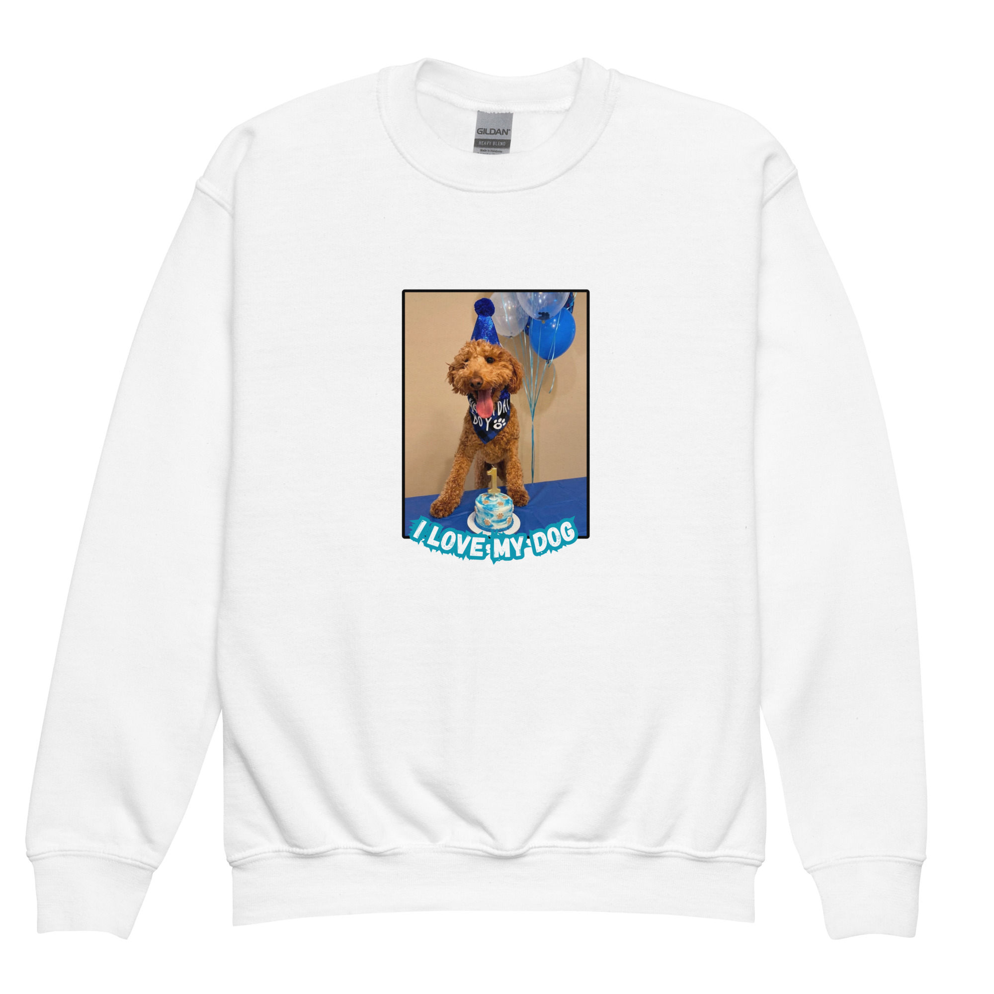 Youth crewneck sweatshirt