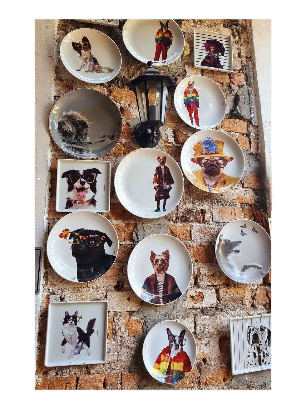 Miniatura: Prato de Porcelana Cachorro Yorkshire Fashion Nick - 27,5 cm