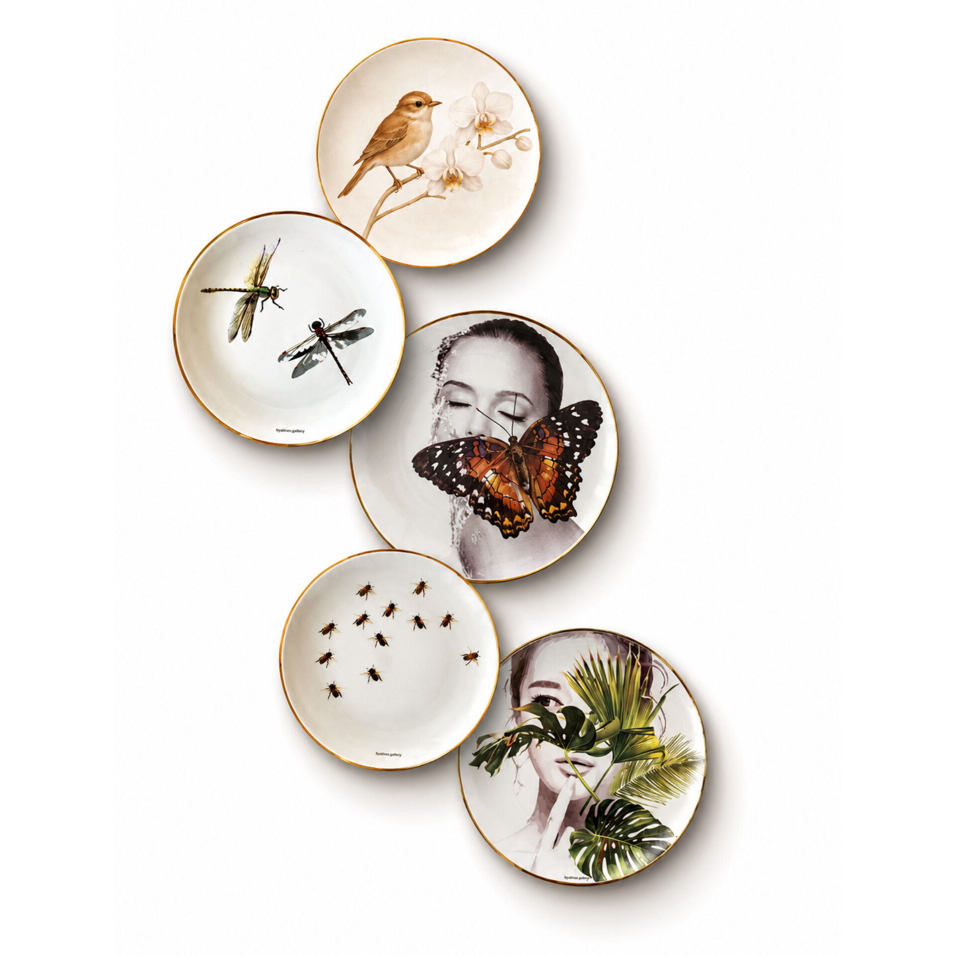 Conjunto Pratos de Porcelana Metamorfoses do Silêncio