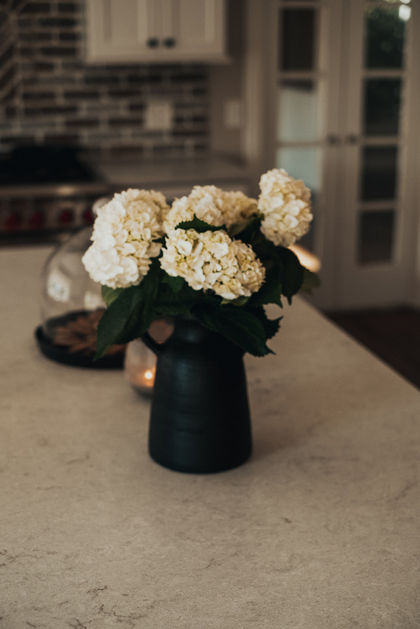 flabio-creative-chicago-wedding-photographer-chicago-lifestyle-photographer-texas-lifestyl