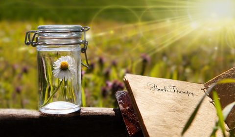 bach book make it heal retreats