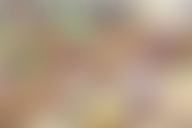 Devlog #14 - Juin 2026