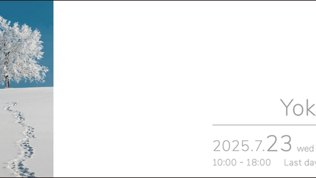 7/23~横浜展示会のお知らせ(卸業者様向け)