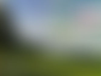 6/22~東京展示会のお知らせ(卸業者様向け)