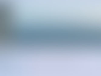 11/11〜東京展示会のお知らせ(卸業者様向け)